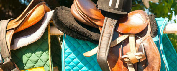 accessoires pour chevaux