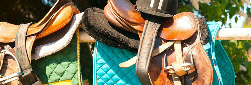 accessoires pour chevaux